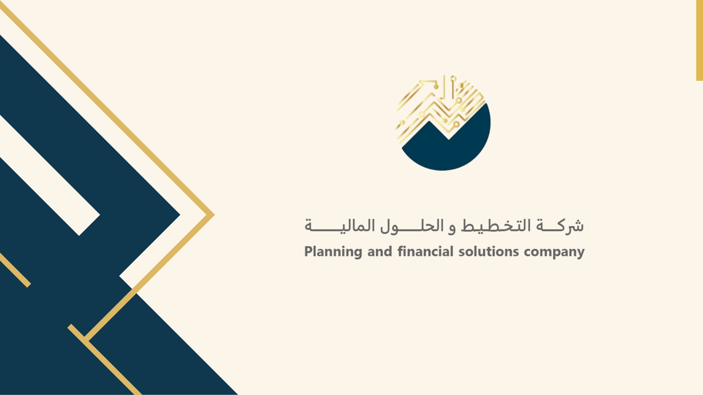شركة التخطيط والحلول المالية