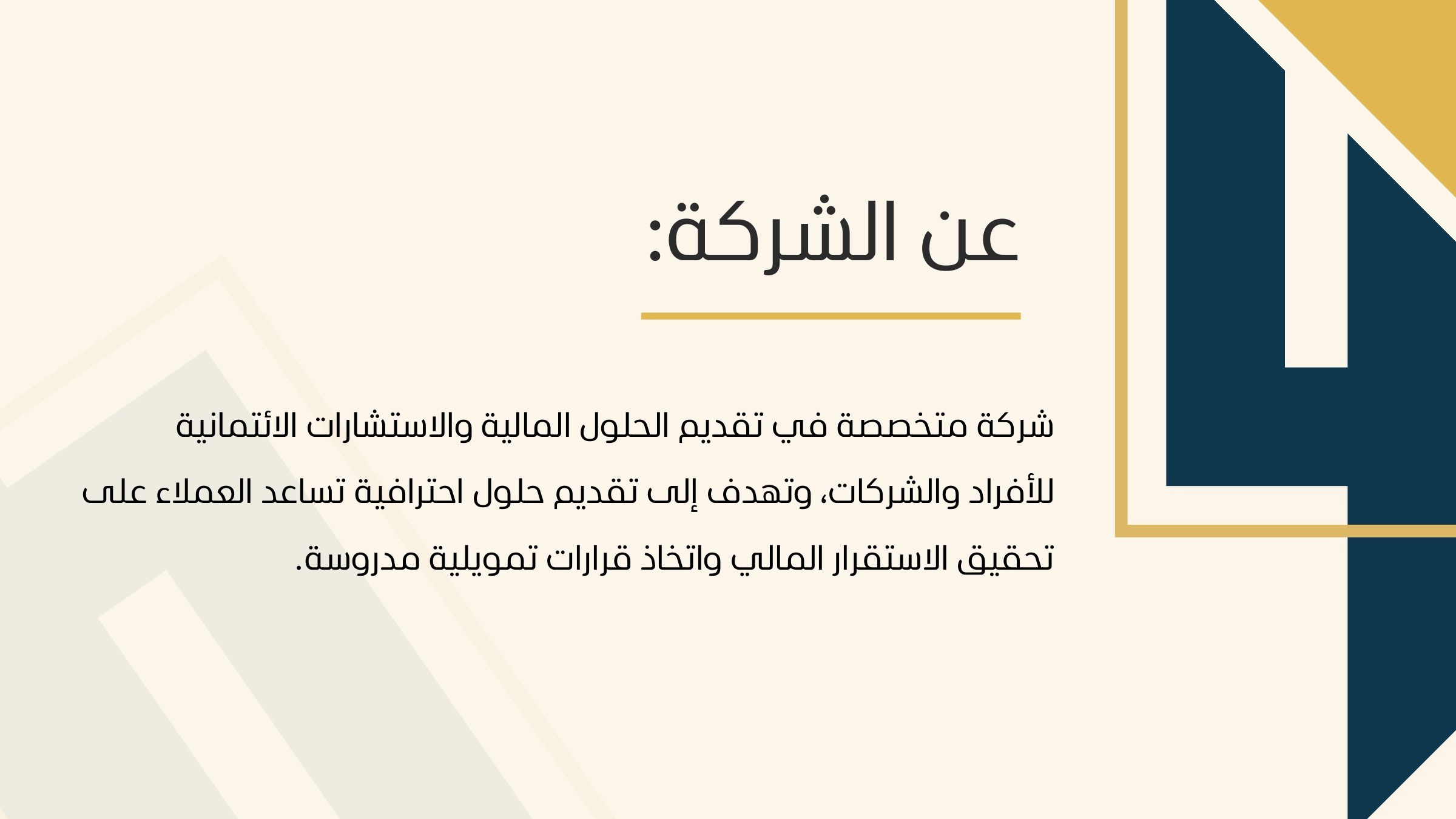 عن الشركة